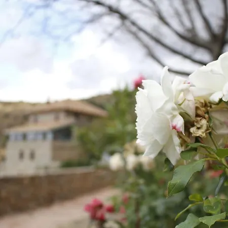 Hotel Cortijo La Argumosa *